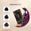 Dầu gội phủ bạc có kèm lược tiện lợi, an toàn cho tóc, Màu nâu đen