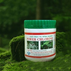 Bột tẩy rong rêu vệ sinh nhà cửa dạng viên 300 gram