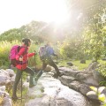 Gậy leo núi, trekking gấp gọn tiện dụng