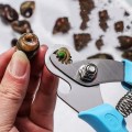 Kìm cắt đuôi ốc, vỏ ốc chất liệu thép hông gỉ chuyên dụng
