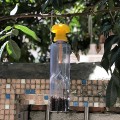 Dụng cụ bẫy ruồi vàng đục bông trái thế hệ mới linh hoạt tiết kiệm, Combo Nắp + 1 lọ tinh dầu