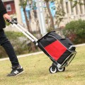 Xe đẩy hàng 2 bánh gấp gọn tải trọng 85kg