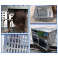 Bẫy chuột thông minh tự động 2 cửa có thể tái sử dụng