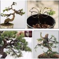 Dây nhôm đen uốn cây cảnh bonsai (500g), Loại 3mm