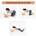 Con lăn tập cơ bụng kết hợp plank tập luyện tại nhà hiệu quả