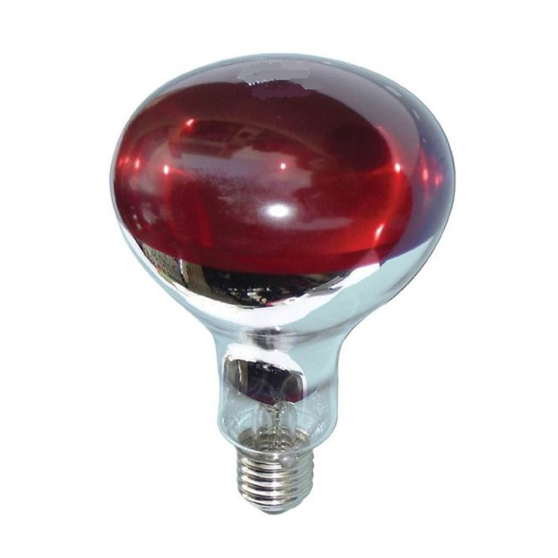 Bóng đèn sưởi hồng ngoại sưởi ấm gia súc, gia cầm tiện lợi