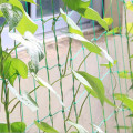 Lưới hỗ trợ làm giàn leo, dưa chuột, giàn mướp, cây hoa, bầu bí, nho... , 1,8m
