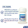 Thuốc diệt muỗi Spectra Fendona 10SC 50ml không mùi an toàn, hiệu quả