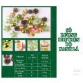 Bộ phụ kiện trang trí Noel