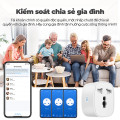 Ổ cắm 2 chân tích hợp wifi Tuya 16A / 3500W 