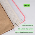 Thảm ngải cứu Trung Hoa tăng tuần hoàn máu, giảm đau xương khớp