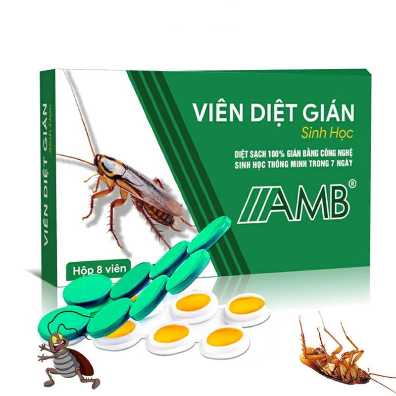 Hộp 8 viên diệt gián sinh học AMB diệt tất cả các loại gián hiệu quả