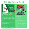 Viên diệt gián sinh học AMB diệt tất cả các loại gián