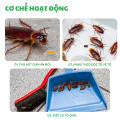Viên diệt gián sinh học AMB diệt tất cả các loại gián