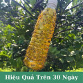 Chai keo xịt bẫy ruồi vàng và côn trùng thế hệ mới dung tích 750ml