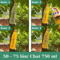 Chai keo xịt bẫy ruồi vàng và côn trùng thế hệ mới dung tích 750ml