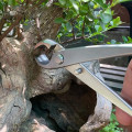 Kìm cạp tròn thép không gỉ 21cm chuyên dùng cắt tỉa cây cảnh, bonsai