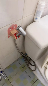 Đức Đỗ