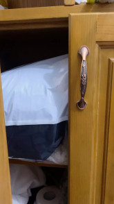 Tuyết Nhi