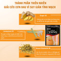 Miếng dán giảm suy giãn tĩnh mạch lưu thông khí huyết (Túi 12 miếng), 1 túi