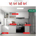 Combo 5 gói diệt kiến sinh học tận gốc an toàn, hiệu quả