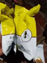 Kiên Trần