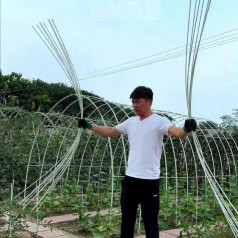 Combo 10 khung vòm phủ nilong, vòm luống,nhà lưới mini siêu bền, Dài 2m	