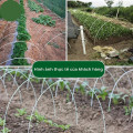 Combo 10 khung vòm phủ nilong, vòm luống,nhà lưới mini siêu bền, Dài 2m	