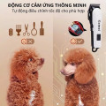 Tông đơ cắt tỉa lông cho mèo siêu êm, chuyên nghiệp tại nhà KM 809A