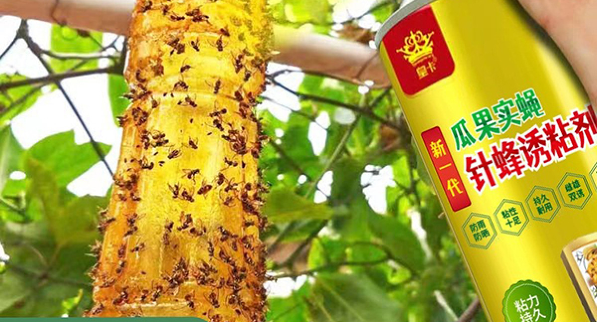 Chai keo xịt bẫy ruồi vàng, keo bám dính, an toàn cho cây trồng