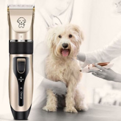 Tông đơ cắt tỉa lông cho chó mèo tại nhà siêu tiện lợi