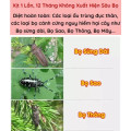 Bình xịt tiêu diệt sâu bọ, kéo dài tuổi thọ và phục hồi cây yếu, dung tích lớn 450ml