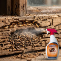 Chai xịt diệt mối mọt khử tận gốc bảo vệ đồ gỗ gia đình Gecko 500ml