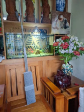 Hào Nguyễn