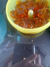 Phạm Diễm My