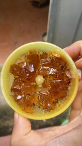 Phạm Diễm My
