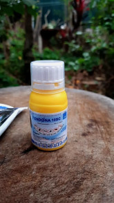 Le Phuoc