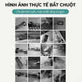Bẫy chuột thông minh thế hệ mới hiệu quả cao