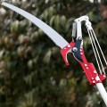 Kéo cắt cành giật dây trên cao dài 5 mét