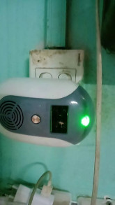 Nhã Phạm
