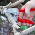 Kéo khoanh vỏ chiết cành lưỡi kép răng cưa tiện dụng