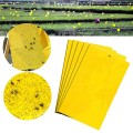 Combo 20 miếng bẫy dính ruồi vàng và côn trùng hiệu quả