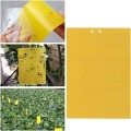 Combo 20 miếng bẫy dính ruồi vàng và côn trùng hiệu quả