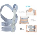 Đai định hình cột sống, giảm gù lưng cho cả nam và nữ, Size M (50-70Kg)