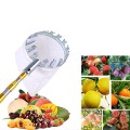 Dụng cụ hái quả, sào hái trái cây trên cao rút gọn, Loại 3m