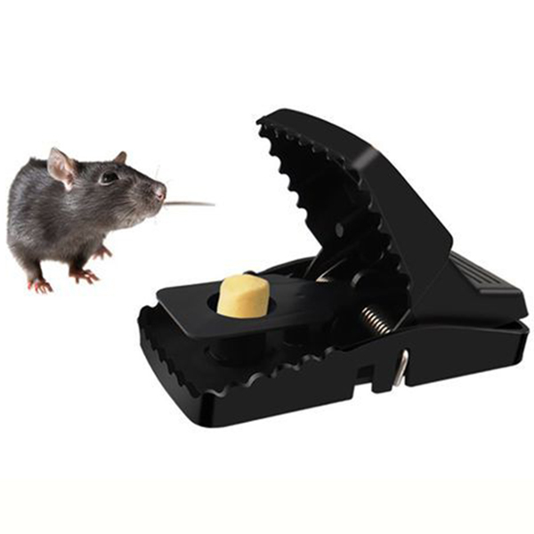 Combo 5 kẹp bẫy chuột thông minh giá rẻ