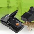 Combo 5 kẹp bẫy chuột thông minh giá rẻ