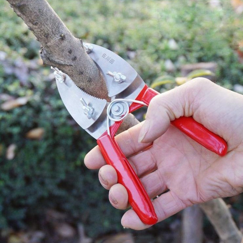 Kéo khoanh vỏ chiết cành lưỡi kép răng cưa tiện dụng