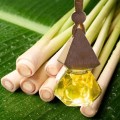 Tinh dầu treo xe hương sả chanh, bạc hà, quế khử mùi hiệu quả