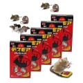 Hộp 4 vỉ viên diệt chuột an toàn, hiệu quả